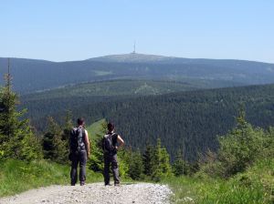 W drodze na szczyt... (fot. Stanisław Stadnicki)